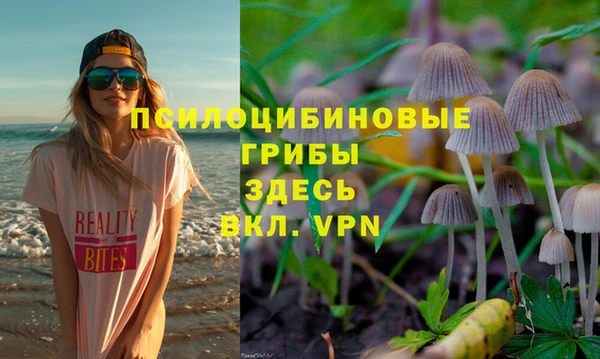 jwh Абаза