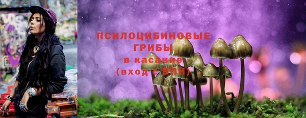 прущие крисы Абдулино